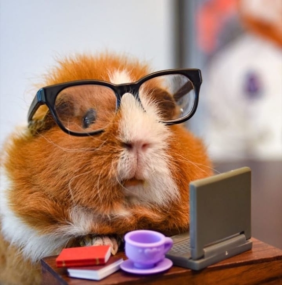 Meet your Posher, Heather - Picture 1 of 1